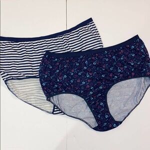 Comfort choice (2) 100% Cotton Brief Panties 11